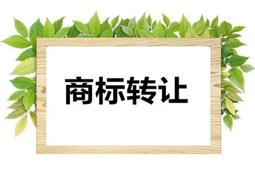 企业商标转让材料需要准备哪些?商标转让注意事项有哪些？