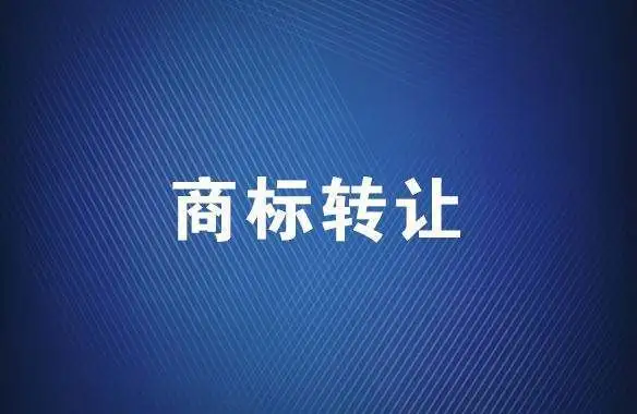 贸易公司商标注册类别